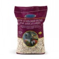 JJ African Grey Lo Sunflowe 2KG