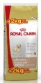 Rc Dog PUPPY  Breed Labrador Retriever  12kg