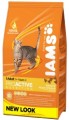 Iams C chick 10kg